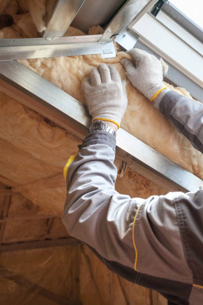 Best Cellulose Insulation in Vernon, WI